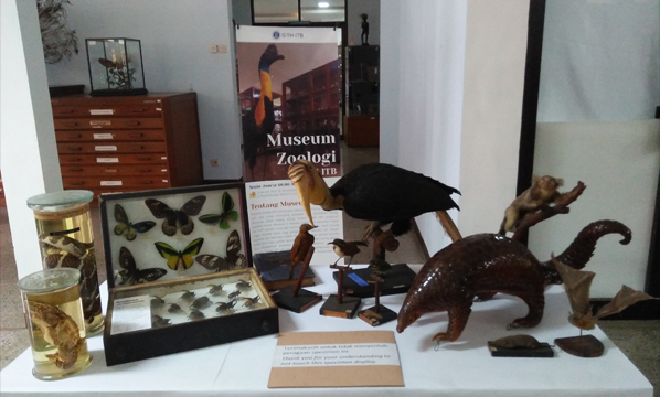 Sejarah Museum Zoologi ITB