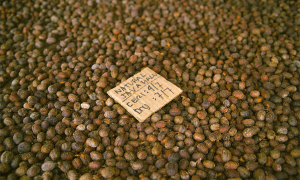 INSTRUKSI KERJA PENJEMURAN