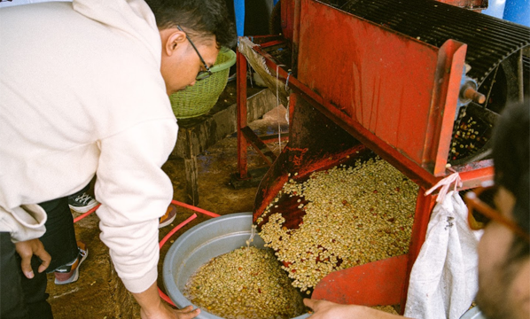 INSTRUKSI KERJA PULPING