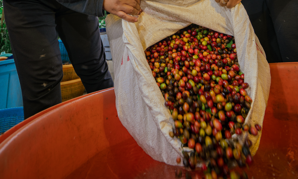 INSTRUKSI KERJA PERAMBANGAN