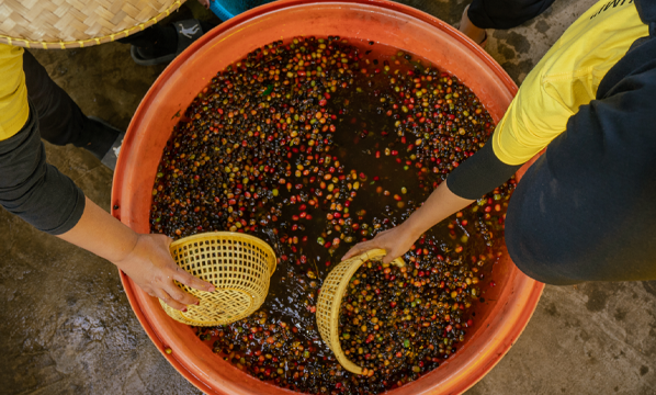 INSTRUKSI KERJA PERAMBANGAN