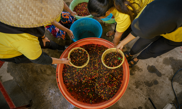 INSTRUKSI KERJA PERAMBANGAN