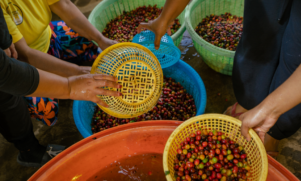 INSTRUKSI KERJA PENCUCIAN