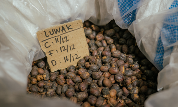 INSTRUKSI KERJA PENYIMPANAN GREEN BEANS