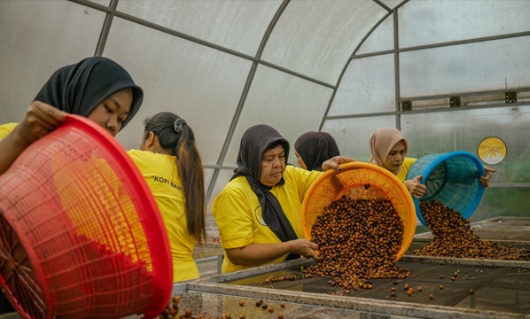 INSTRUKSI KERJA SOLAR DRYER DOME