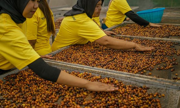 INSTRUKSI KERJA SOLAR DRYER DOME