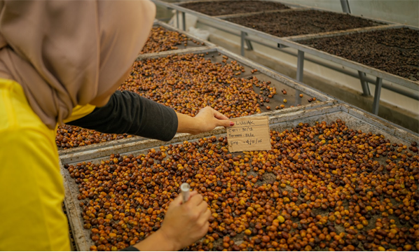 INSTRUKSI KERJA SOLAR DRYER DOME