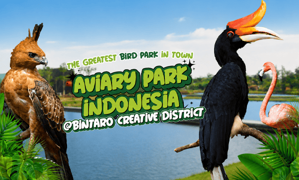 Rangkong afrika <br>African pied hornbill <br> <i>Lophoceros fasciatus</i>